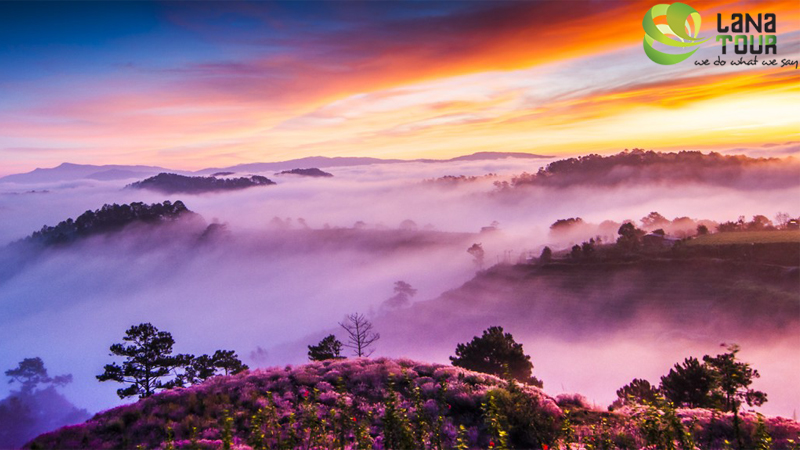 Dalat